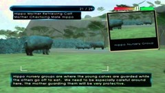 调查游戏有哪些 热门调查游戏排行