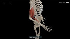 教育游戏哪个好玩 热门教育游戏排行榜