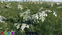 采矿游戏哪些人气高 下载量高的采矿游戏推荐