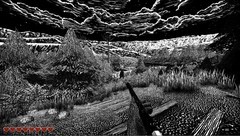 地下游戏大全 最热地下游戏排行榜前十