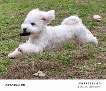 追求没那么极致，为什么选上代旗舰更超值？