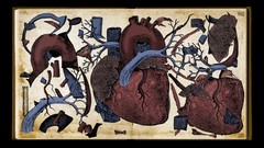 医疗模拟游戏推荐哪个 十大耐玩医疗模拟游戏排行