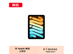 iPad mini 7价格崩了！4000元就能入手高性能平板