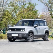 20万内纯电小SUV四款优选，实用与趣味兼具