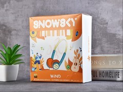 享受不用“烧钱”的快乐，雪漫天WIND小头戴耳机评测
