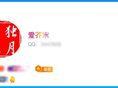 全球首个满级QQ账号诞生，用户解锁“时光企鹅”图标