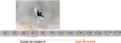 性能显著提升 带你了解尼康全幅新机Z6III