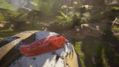 《蚂蚁帝国》与环境博弈！耕升演绎生命奇迹