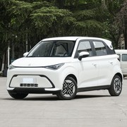 10万元内纯电小车推荐：比亚迪、奇瑞、五菱四款热门车型全解析