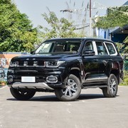 30万内中大型SUV推荐：BJ60、Q5 e-tron、ID.6 X与揽巡深度解析