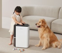 回南天除湿机哪个牌子好？德业这款除湿机南方人真喜欢！