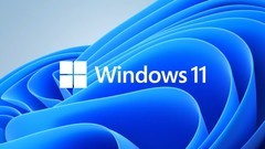 一文看懂 Win11到底需不需要第三方优化软件