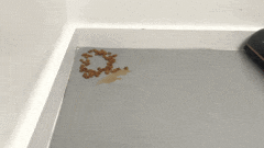 MOVA M50 Ultra洗地机评测：养宠与母婴家庭的清洁救星