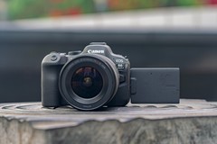 佳能EOS R6 Mark II 全能相机是如何练成的