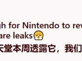 Switch 2真的要来了？网友竟然拍到真机上手图！
