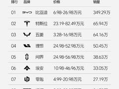 比亚迪断层式领先 去年共售出349.29万辆新车