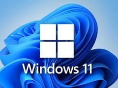Windows 11这项功能千万别开 开了就后悔