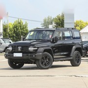 三款40万内热门5座SUV对比：奥迪Q3、DS 7与坦克300谁更值得入手？