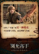 《新·驯龙高手》6月13日全国献映，索泰显卡邀你大银幕乘龙高飞！