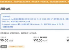 新闻速报！DeepSeek已暂停API服务充值功能