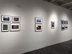 Today at Apple创想营摄影展开幕 大学生用镜头记录下身边真实的故事