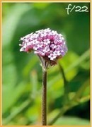 国庆节要出片，四个手机拍照技巧一定要会