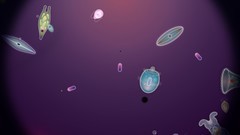 自然游戏下载 十大必玩自然游戏排行榜前十