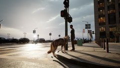 情感游戏有哪些好玩 最新情感游戏排行榜前十