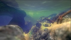 免费游戏哪个好 热门免费游戏精选