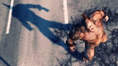 漫画英雄游戏推荐哪个 最热漫画英雄游戏精选