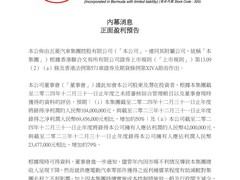 五菱汽车2024年净利润增长50%，新能源车销量占比超五成