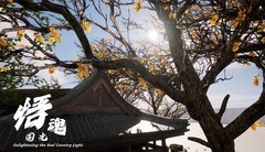 第三人称游戏有哪些 好玩的第三人称游戏排行榜前十