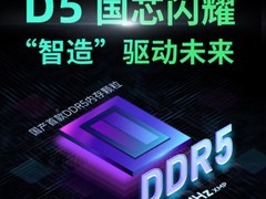 见证历史！首款国产DDR5内存终于来了