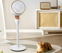 空调都这么普及了，为什么风扇又火了？