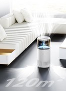 曾经满大街的喷雾加湿器 如今为啥成了“牛夫人”？