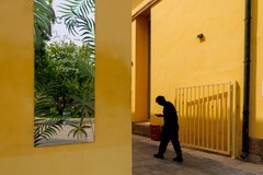 用佳能EOS R5 Mark II凝固城市街头瞬间