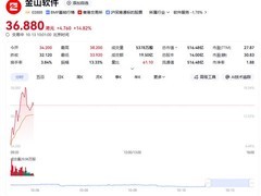 金山软件股价大涨超14% 因政策文件采用WPS格式