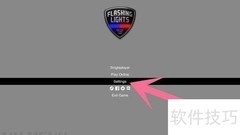 Flashing Lights中文设置教程