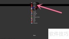 Flashing Lights中文设置教程