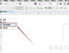 CDR虚拟段删除工具使用指南
