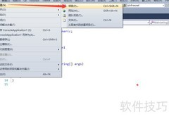 VS2010插件安装指南