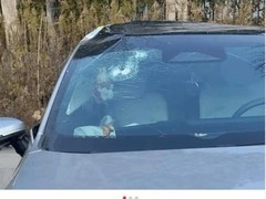 车内玩偶暗藏子弹风险 安全隐患引热议