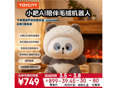 耙老师小耙AI陪伴机器人819元