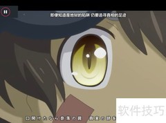 splash播放器主题修改指南