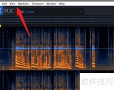 iZotope RX7时间格式设置指南