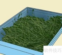 兔子饲养与饮食指南