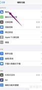iPhone 11开启Option键切换技巧