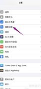 iPhone 11关闭Option键切换方法