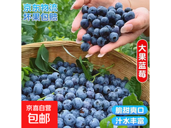 国产云南蓝莓4盒装，到手仅14.9元，多买多划算！