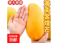 广西当季进口金煌芒，5斤装领券直降，48.9元带回家